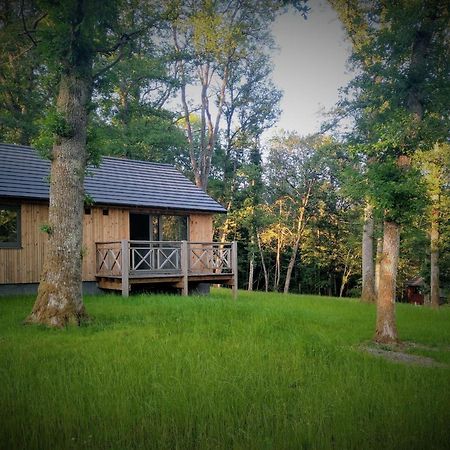 Chalet Au Bois D'Ourthe Villa Somme-Leuze Bagian luar foto