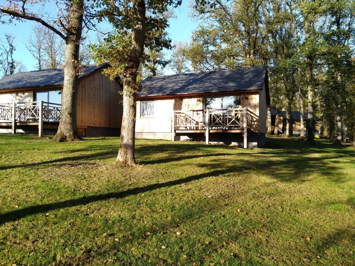 Chalet Au Bois D'Ourthe Villa Somme-Leuze Bagian luar foto