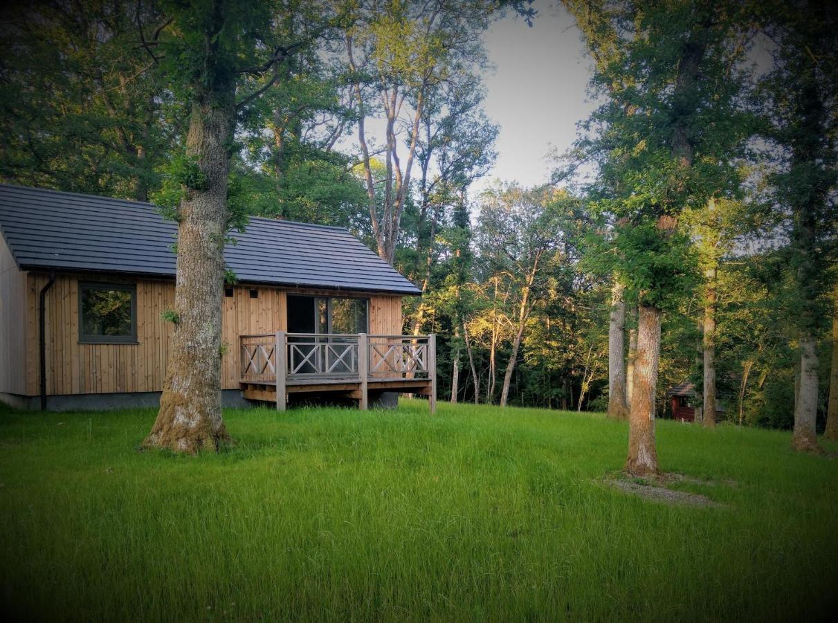 Chalet Au Bois D'Ourthe Villa Somme-Leuze Bagian luar foto